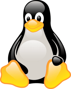 Cartoon penguin with black and white body and bright orange feet and beak.